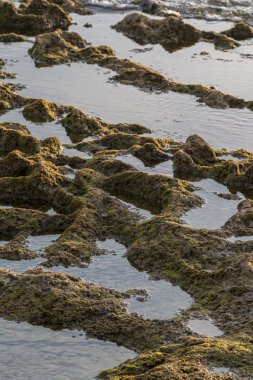 Albufeira yakınındaki Sao Lourenco kıyı şeridi