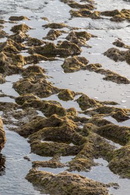 Albufeira yakınındaki Sao Lourenco kıyı şeridi