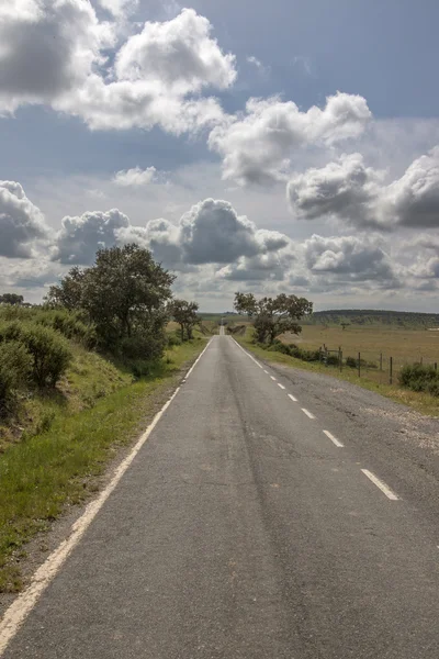 Strada asfaltata lunga diritta in Alentejo — Foto Stock