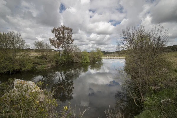 Paisagem paisagística de uma corrente fresca de água no Alentejo — Fotografia de Stock