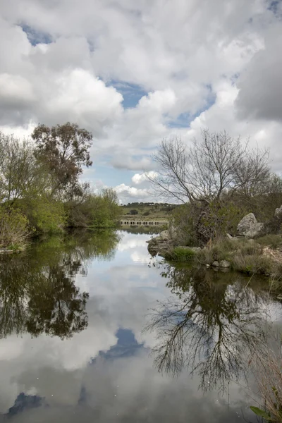 アレンテージョ地方の水の新鮮なストリームの風光明媚な風景 — ストック写真