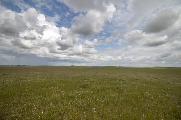 Prachtige lente landschap van de regio Alentejo — Stockfoto