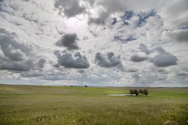 Bela paisagem de primavera da região do Alentejo — Fotografia de Stock