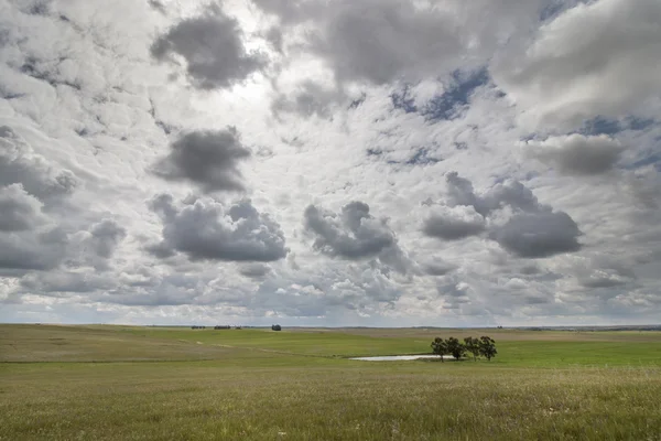 Bela paisagem de primavera da região do Alentejo — Fotografia de Stock