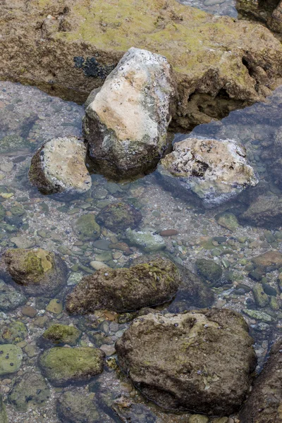 Sao Lourenco kusten nära Albufeira — Stockfoto