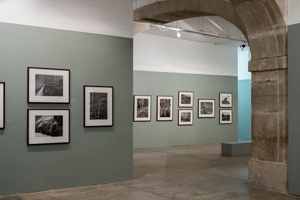 "Genesis "fotográfiai kiállítás Sebastiao Salgado" — Stock Fotó