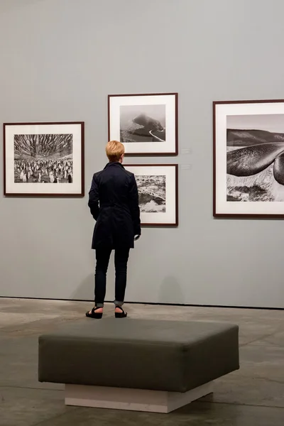 "Gênesis "exposição de fotografia de Sebastião Salgado — Fotografia de Stock