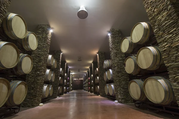 Long cellar with wine barrels — Stock Photo, Image