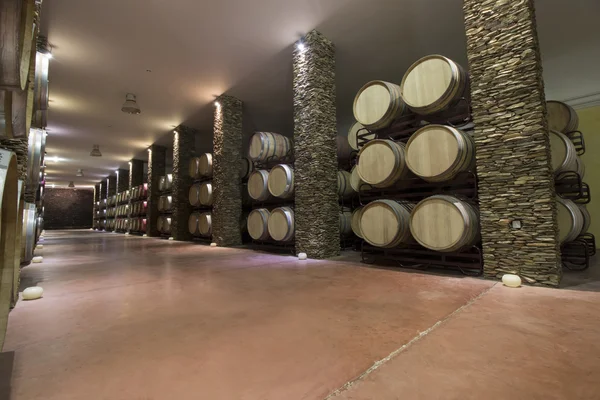 Bodega larga con barricas de vino —  Fotos de Stock