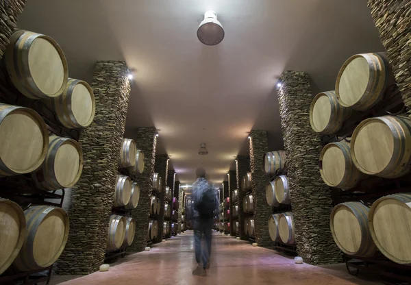 Adega longa com barris de vinho — Fotografia de Stock