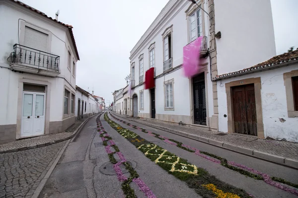 Procissão religiosa tradicional das tochas de flores — Fotografia de Stock