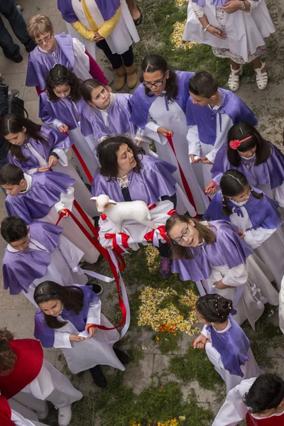 Traditionele religieuze processie van de fakkels van de bloem — Stockfoto