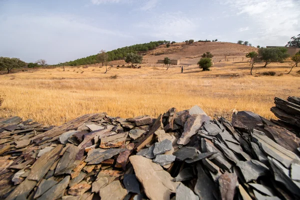 Paisagem seca em Santarém, Portugal — Fotografia de Stock
