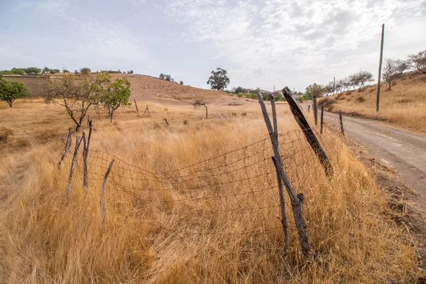 Suchy krajobraz w Martim longo, Portugalia — Zdjęcie stockowe