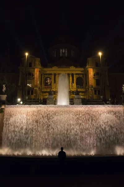Vista notturna della fontana e Museo Nazionale d'Arte — Foto Stock