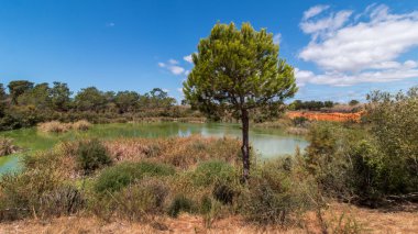Ria Formosa bataklıklar içinde kuş gözlem için göl
