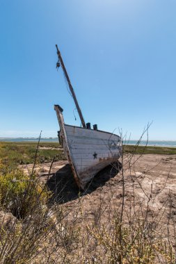 Ria Formosa kum tepeleri üzerinde bitki örtüsünün terk edilmiş teknede
