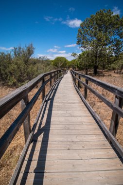 Ria Formosa koruluklar Algarve içinde yer alan