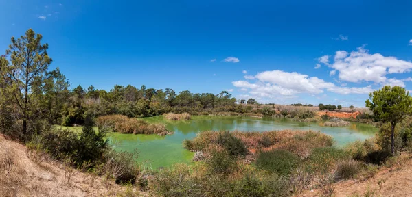 A Ria Formosa mocsarak Madarászat tó — Stock Fotó