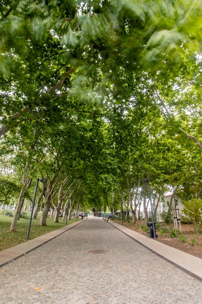 Belangrijkste stedelijk park van de stad van Loulé — Stockfoto