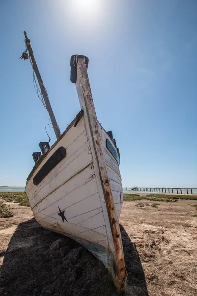 Брошенная лодка по растительности на песчаных дюнах — стоковое фото
