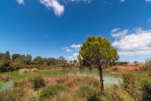 Lac pour l'observation des oiseaux dans les marais de Ria Formosa — Photo