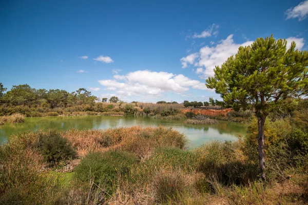 Lago para la observación de aves en los pantanos de la Ría Formosa — Foto de Stock