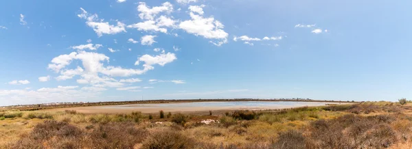 Ria Formosa marshlands — Stock Photo, Image