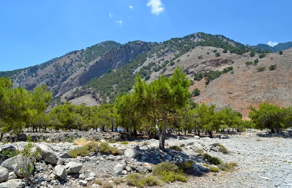 Agia Roumeli — Foto Stock