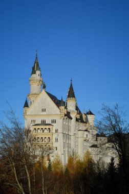 Neuschwanstein Şatosu