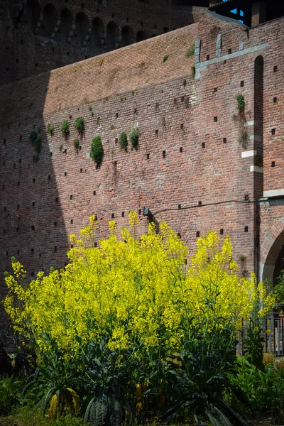 Castelo de sforza — Fotografia de Stock