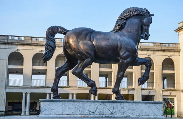 Лошадь Леонардо да Винчи — стоковое фото