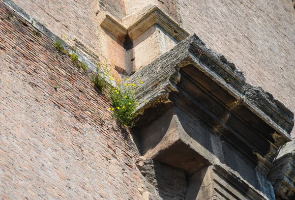 Colosseum close up — Stock Photo, Image