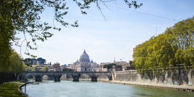 Aziz Petrus Bazilikası'na