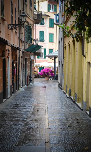 Flores de calle brillantes — Foto de Stock