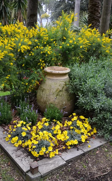 Street flowers of S. Margherita — Stock Photo, Image