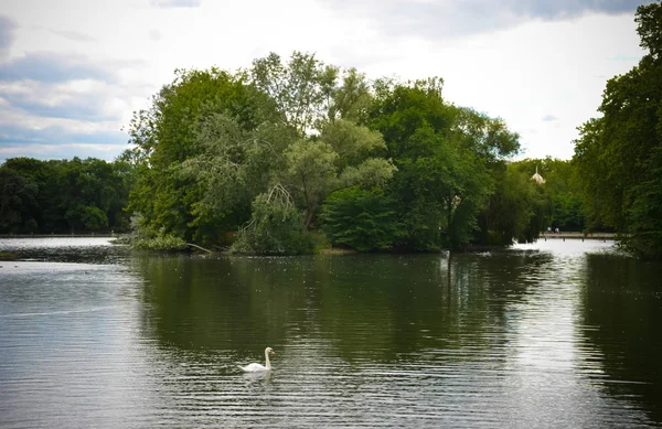 Damm i Regents Park — Stockfoto