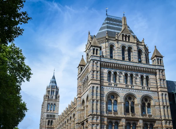 National History Museum — Stock Photo, Image