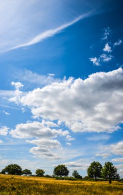 Richmond Park dramatik gökyüzü