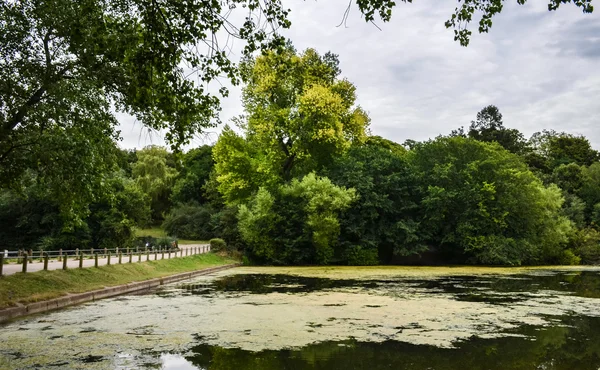 Parque Hampsetad Heath — Foto de Stock