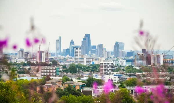 Stadsbild från Parliament Hill — Stockfoto