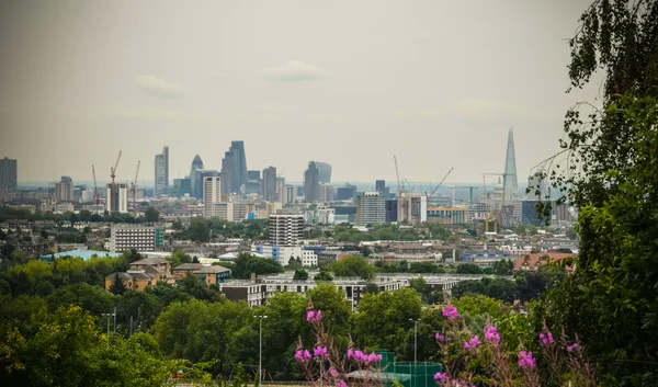 Stadsgezicht van Parliament Hill Stockfoto