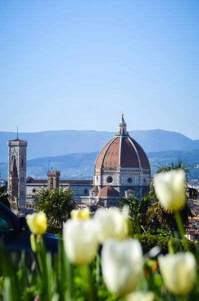 Cattedrale di Santa maria del fiore — Stockfoto