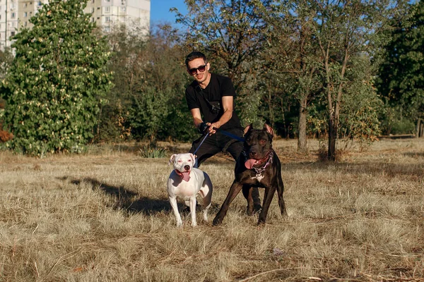 Ein Junger Mann Geht Mit Seinen Hunden Park Spazieren White — Stockfoto