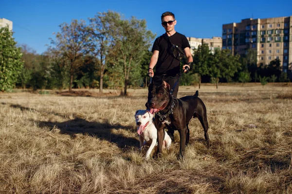 Joven Hombre Elegante Pasea Con Sus Perros Parque White Staff — Foto de Stock