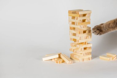 Beyaz arka planda tahta masa oyunu. Kedi pençesiyle ahşap yapıyı yok etmeye çalışıyor. Tahta bloklardan yapılmış bir kule ve bir kedi pençesi. Metin için boş alan