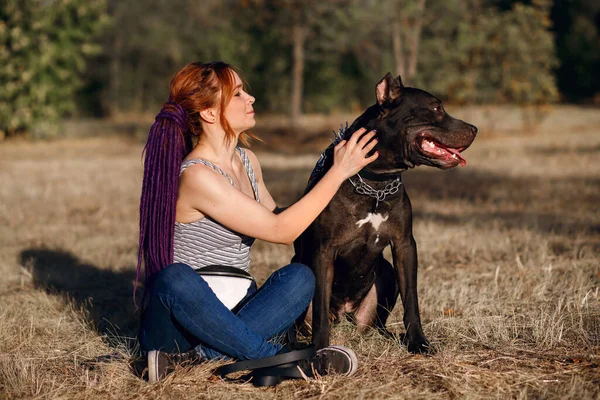 Gayri resmi kızıl saçlı, örgülü bir kadın, siyah bir pitbull ile yürüyor. Tehlikeli köpek ırkı sahibine tapar. Kız çimenlerde otururken evcil hayvanını okşuyor.