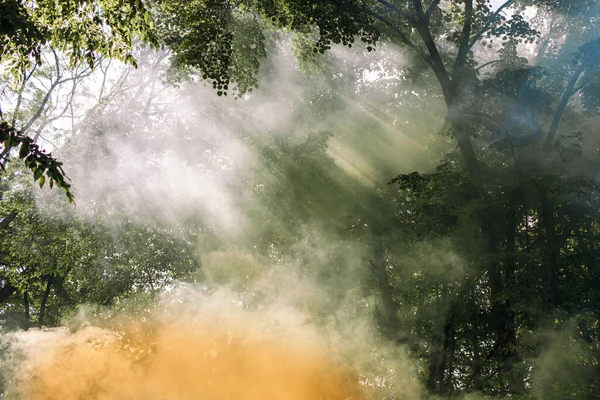 Feu Dans Forêt Catastrophe Environnementale Menace Incendies Grande Échelle Fumée — Photo