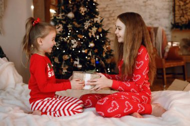 Pijamalı iki kız kardeş yatağın üzerinde oturmuş Noel ağacının arka planında bir kurdeleyle süslenmiş bir hediye tutuyorlar. Kızlar güler ve yeni yılın ve Noel tatilinin tadını çıkarır.