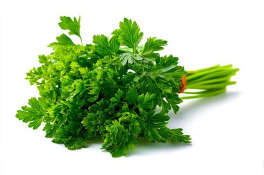 Taze maydanoz sürüsü, parlak yeşil yapraklar ve saplarla, beyaz arka planda sergileniyor, mutfak kullanımı ve yemek fotoğrafçılığı için ideal.
